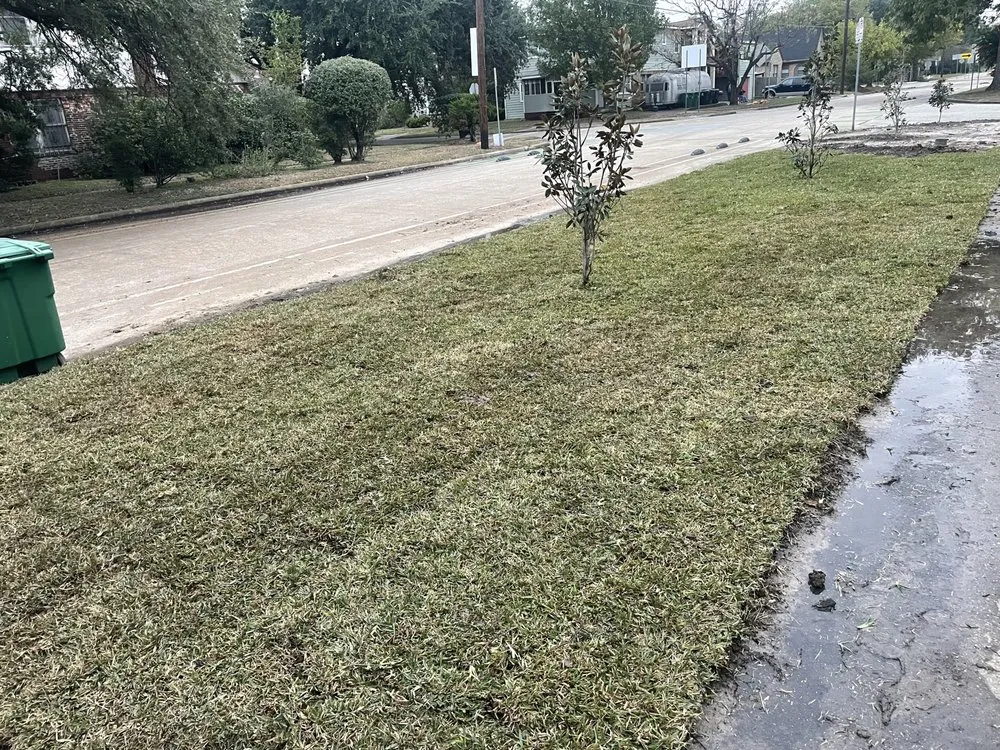 Reliable lawn care service in The Woodlands, TX - Yard & Garden Works