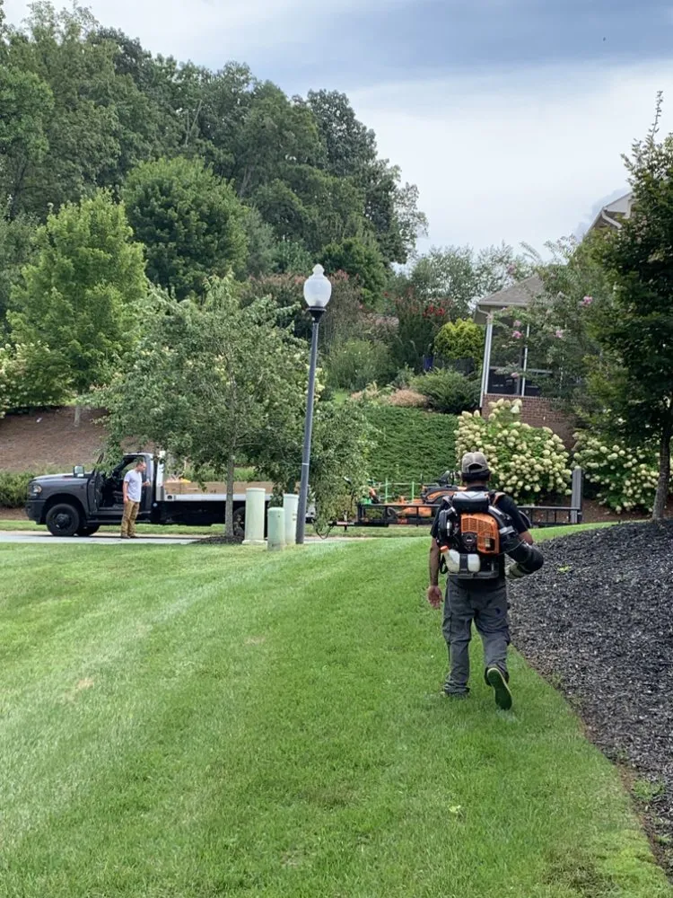 Custom garden landscaping in Lewisville, NC - Yard & Home