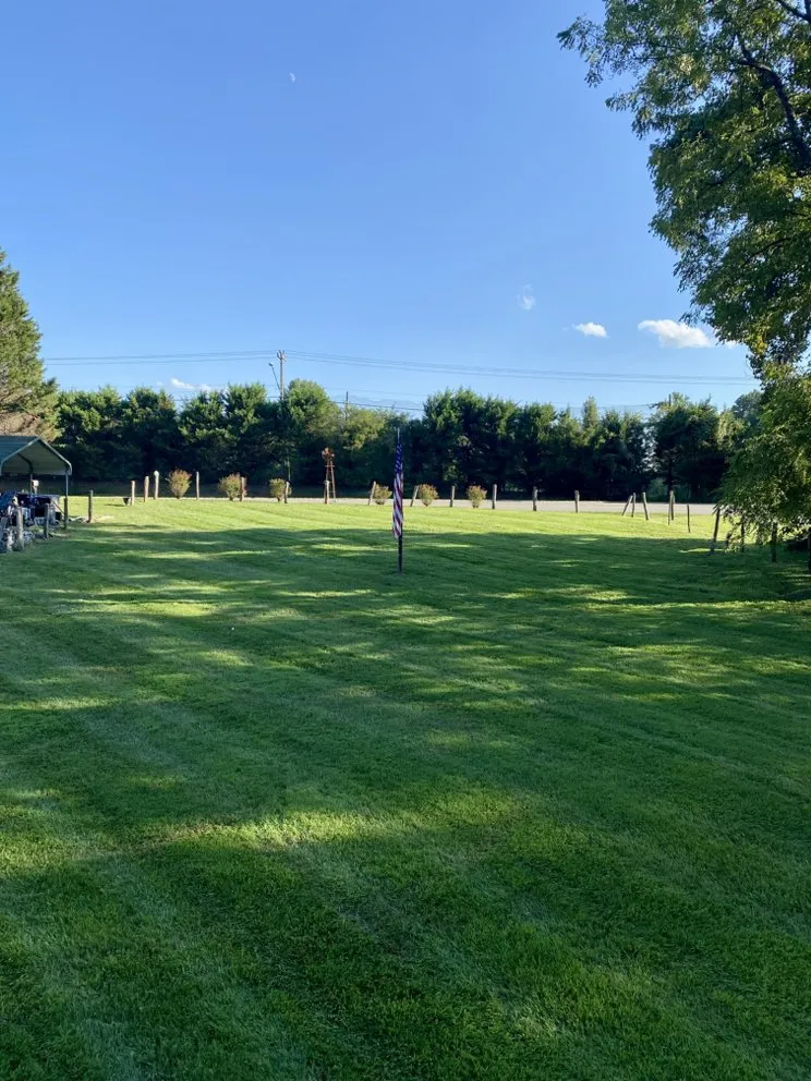 Expert residential landscaping for outdoor upgrades in Lewisville, NC by Yard & Home