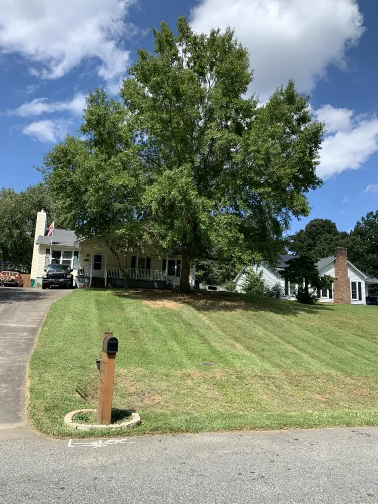 Professional landscape design for beautiful yards in Lewisville, NC by Yard & Home