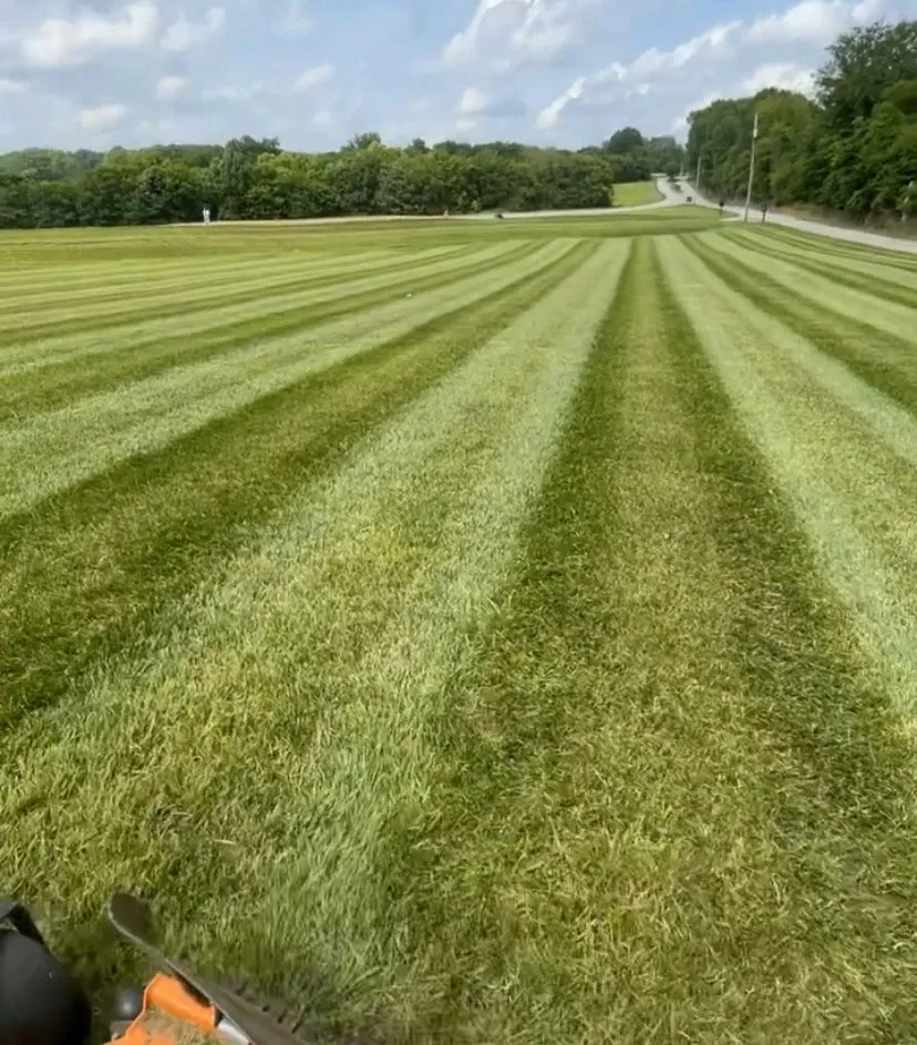 Reliable outdoor landscaping experts serving Lewisville, NC - Yard & Home