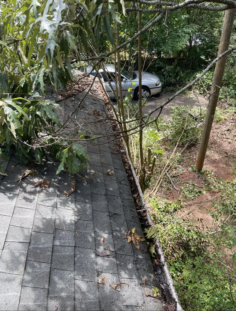 Local yard maintenance with custom design in Greenville, SC by Yard & home pros