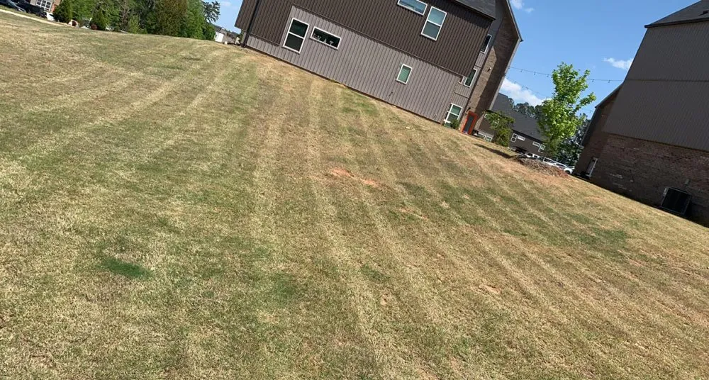 Professional outdoor landscaping experts serving Greenville, SC - Yard & home pros