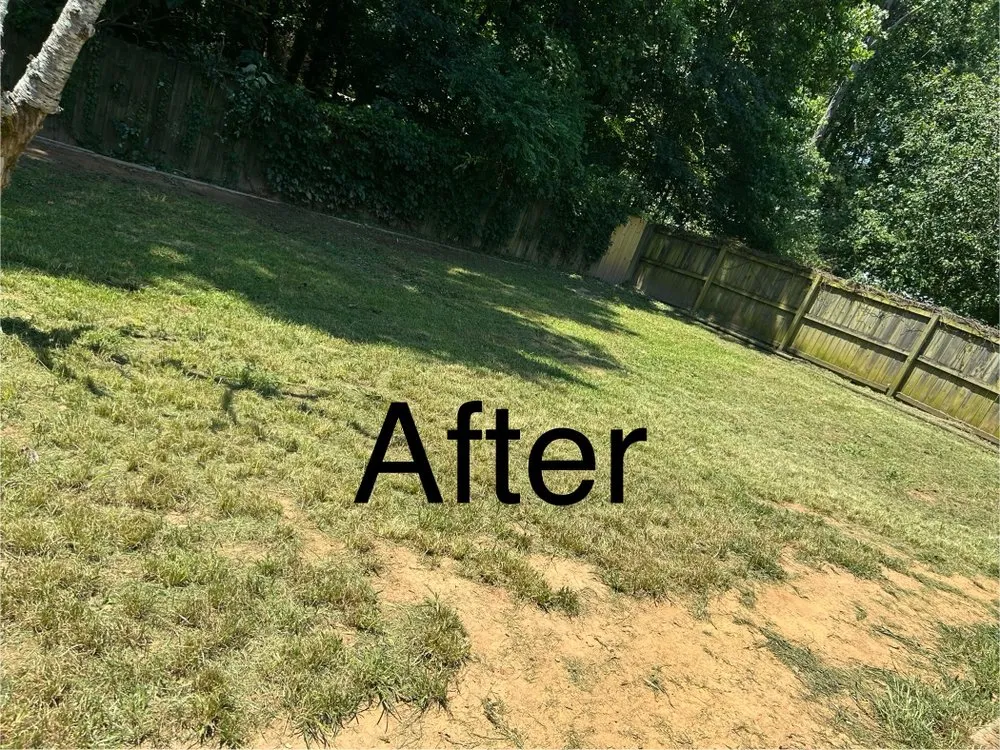 Expert landscape design experts serving Greenville, SC - Yard & home pros