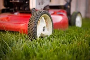 Professional lawn care service with custom design across Hampton, TN - Yard & Nursery Depot