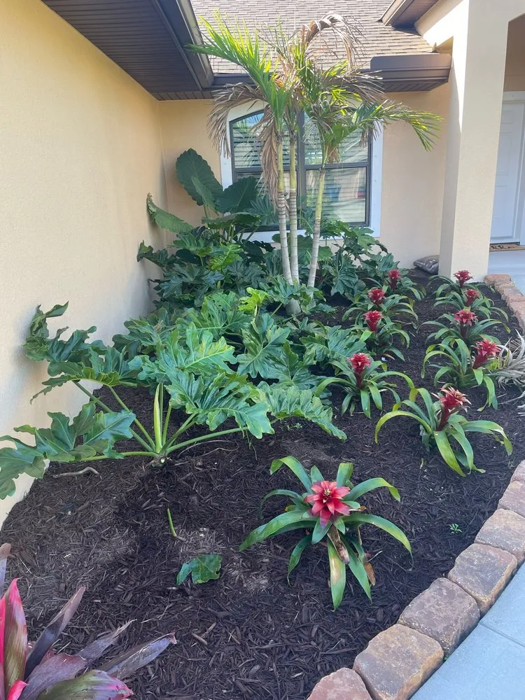 Local outdoor landscaping in Palm Bay, FL - Yard 1