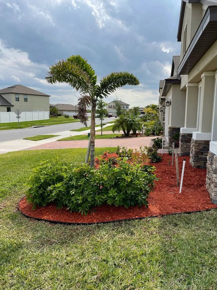Expert landscape design experts serving Palm Bay, FL - Yard 1