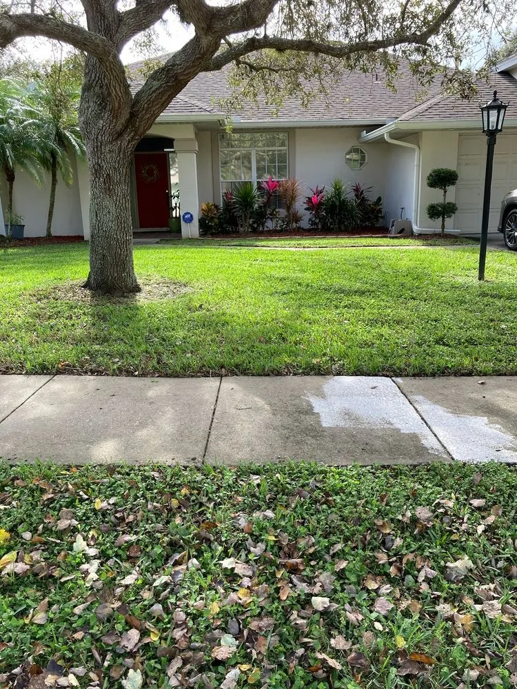 Expert residential landscaping in Palm Bay, FL - Yard 1