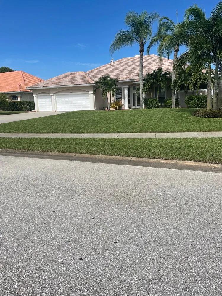 Top-rated landscape design experts serving Palm Bay, FL - Yard 1