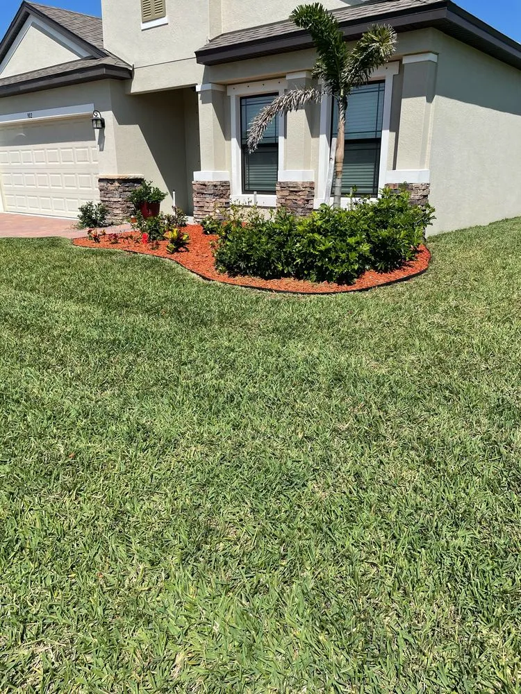 Affordable yard cleanup service in Palm Bay, FL by Yard 1