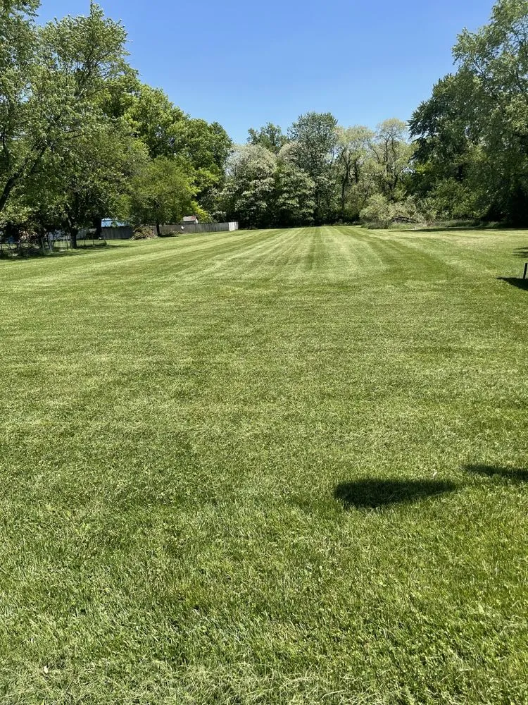 Local lawn mowing service experts serving Cincinnati, OH - Yard Advantage