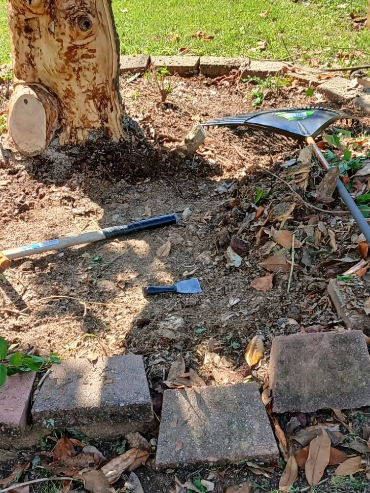 Custom yard maintenance experts serving Bristol, VA - Yard and Home Helper