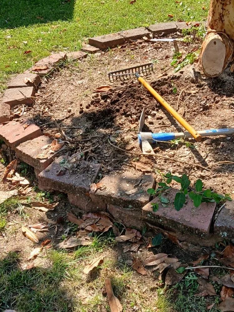 Expert yard cleanup service in Bristol, VA - Yard and Home Helper