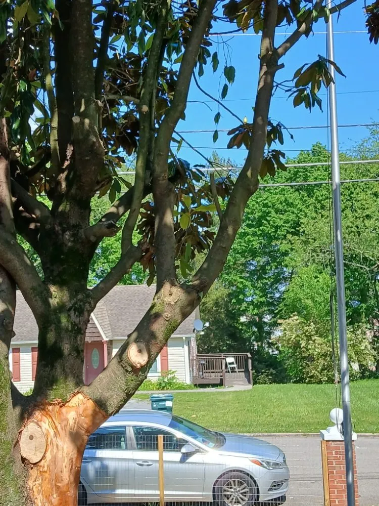 Professional lawn mowing service in Bristol, VA by Yard and Home Helper