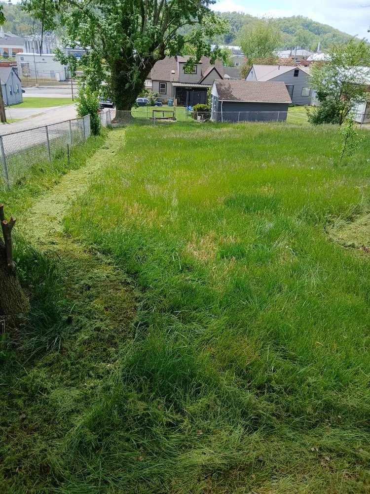 Custom lawn care service experts serving Bristol, VA - Yard and Home Helper