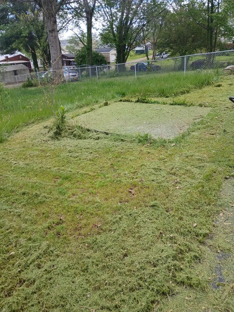 Affordable garden landscaping experts serving Bristol, VA - Yard and Home Helper