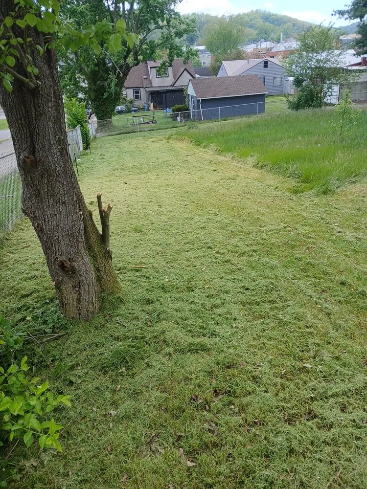 Professional yard cleanup service experts serving Bristol, VA - Yard and Home Helper