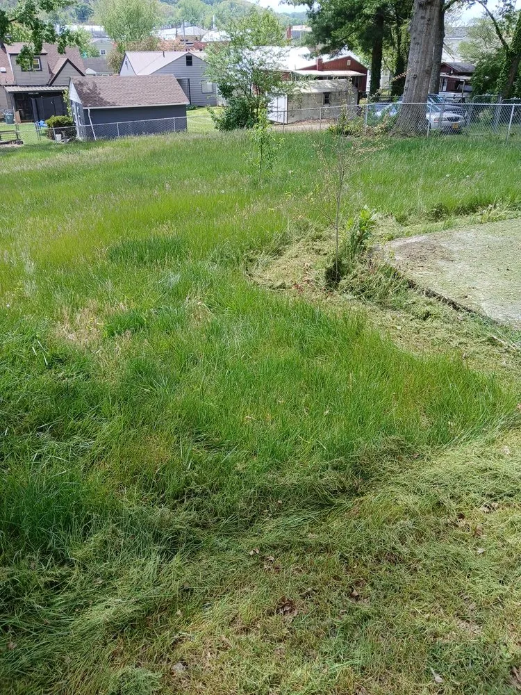 Custom garden landscaping for outdoor upgrades across Bristol, VA - Yard and Home Helper