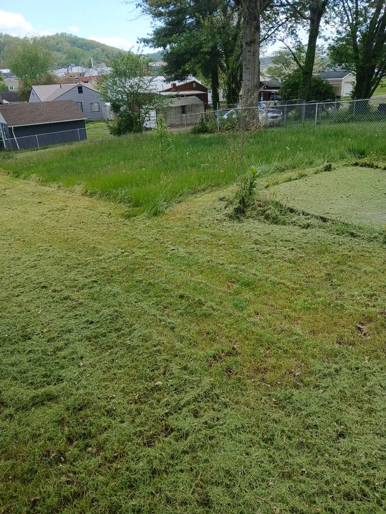 Local yard maintenance in Bristol, VA - Yard and Home Helper