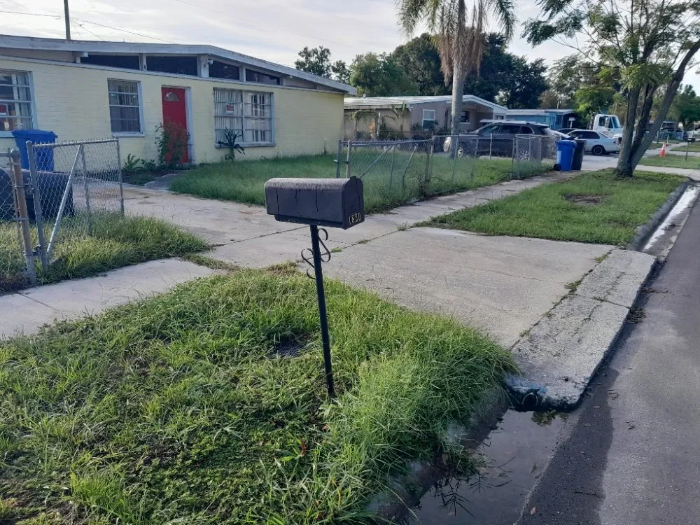 Local outdoor landscaping in Tampa Bay, FL - Yard Artists