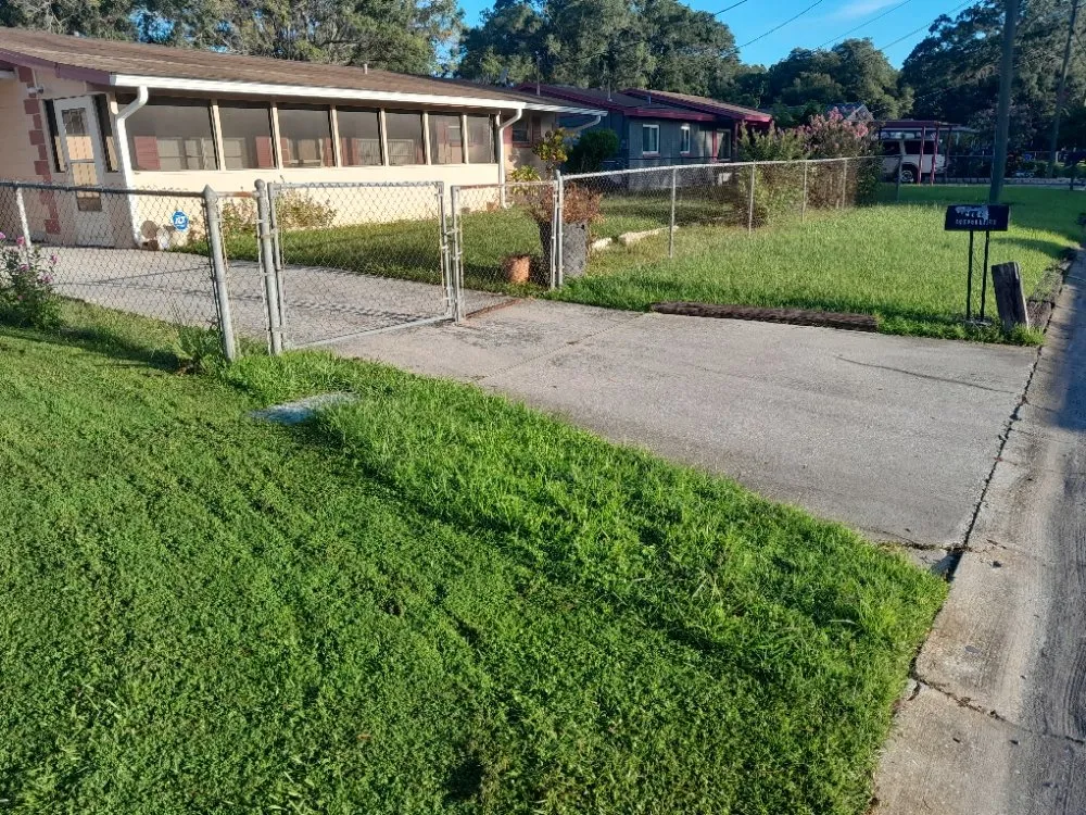 Expert landscape installation in Tampa Bay, FL by Yard Artists