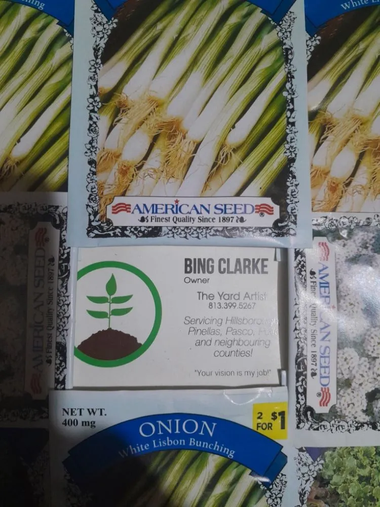 Trusted garden landscaping for year-round maintenance across Tampa Bay, FL - Yard Artists