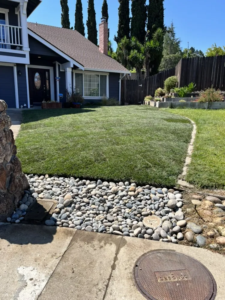 Expert outdoor landscaping for year-round maintenance across Concord, CA - Yard Assistant