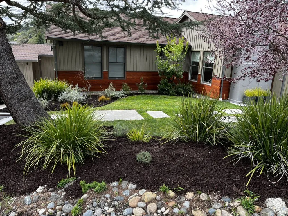 Trusted lawn care service for year-round maintenance across Concord, CA - Yard Assistant