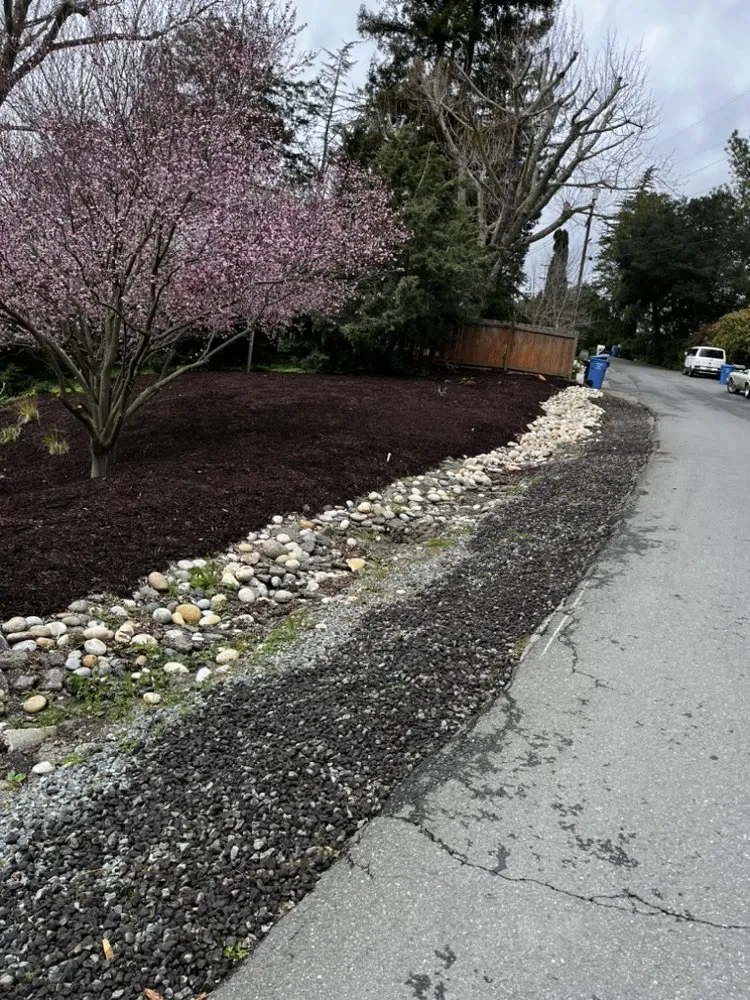 Top-rated landscape design in Concord, CA by Yard Assistant