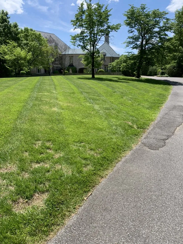 Top-rated yard maintenance experts serving Benton, KY - Yard Barber