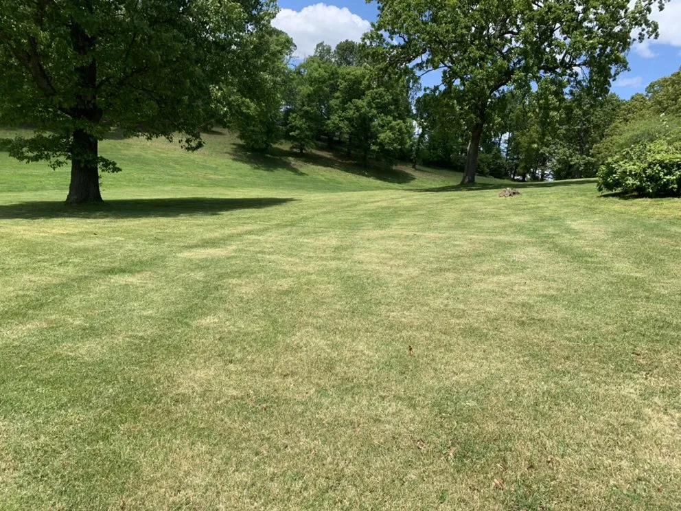 Reliable landscape design in Benton, KY by Yard Barber