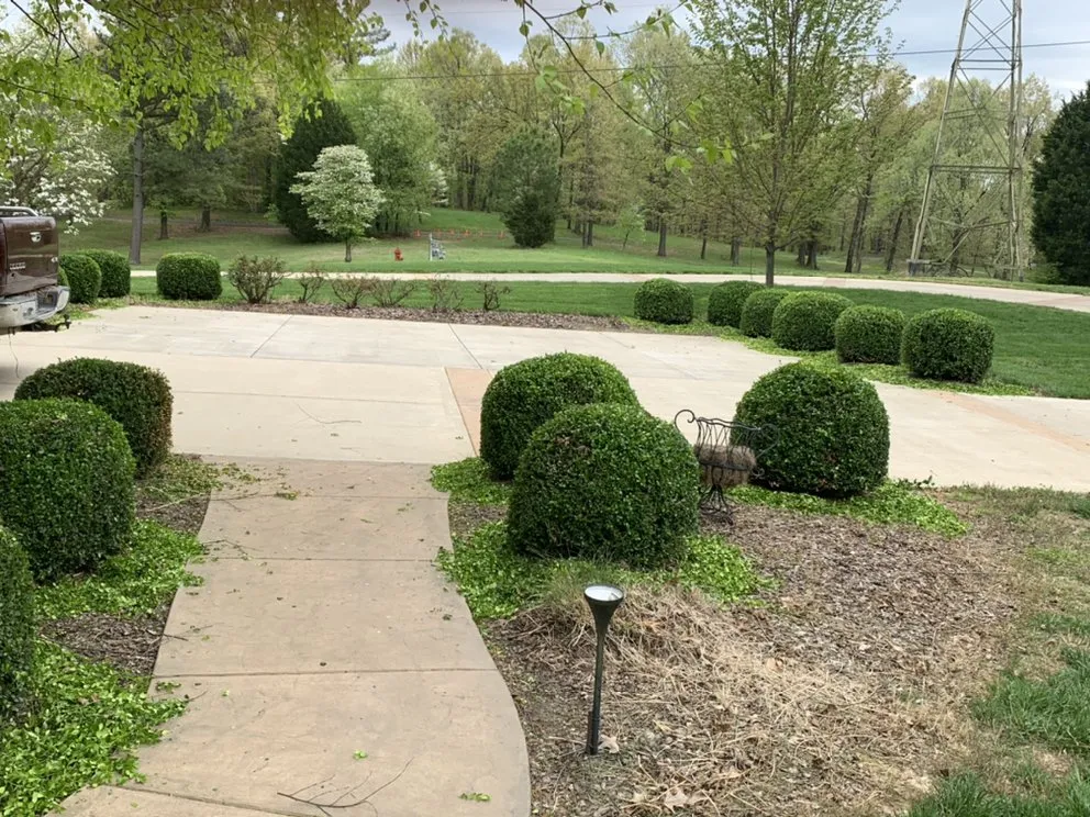 Professional outdoor landscaping for residential properties in Benton, KY by Yard Barber