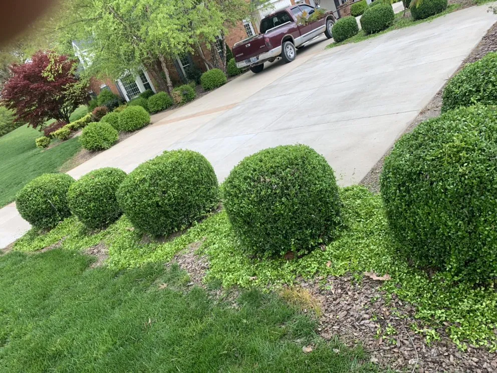 Professional landscape design for year-round maintenance in Benton, KY by Yard Barber