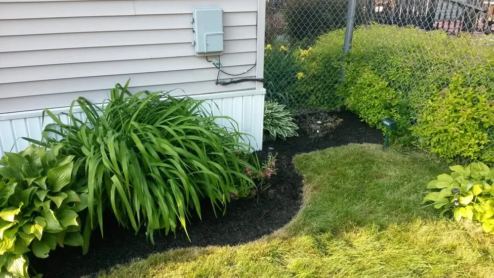 Top-rated lawn mowing service experts serving Buffalo, NY - Yard Barber Lawn Service