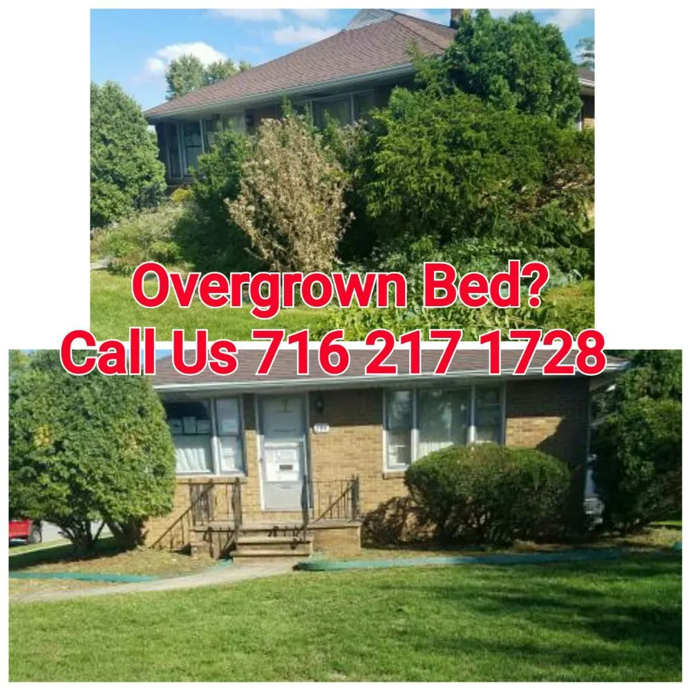 Affordable landscape installation for residential properties in Buffalo, NY by Yard Barber Lawn Service