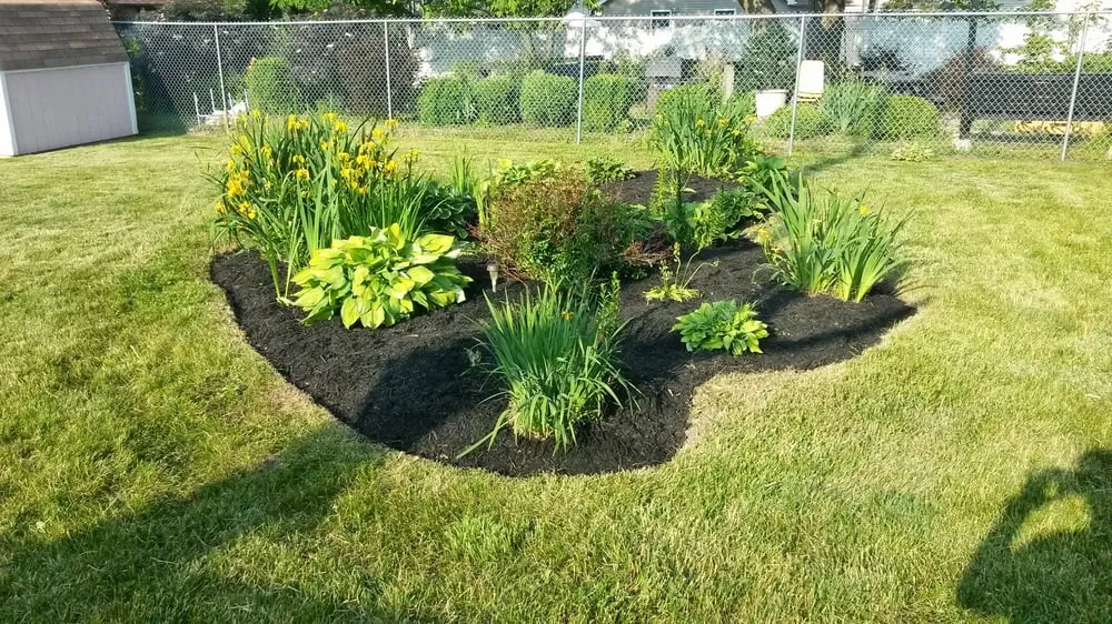 Reliable lawn mowing service experts serving Buffalo, NY - Yard Barber Lawn Service