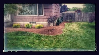 Reliable yard cleanup service in Buffalo, NY by Yard Barber Lawn Service
