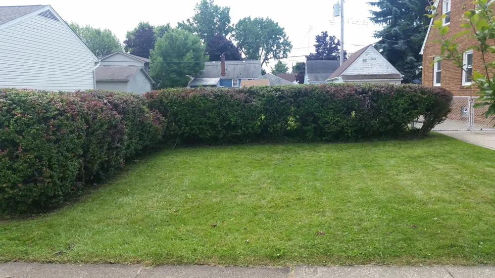 Reliable lawn mowing service for beautiful yards across Buffalo, NY - Yard Barber Lawn Service