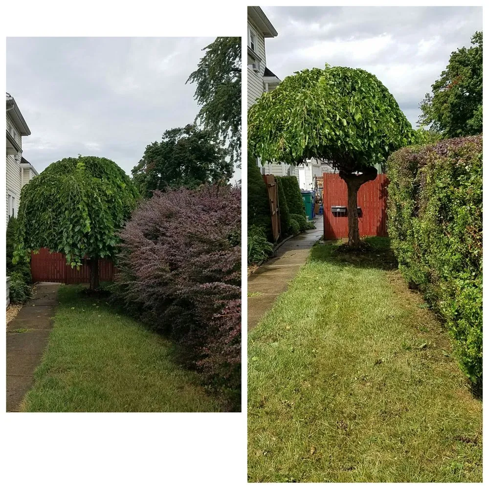 Custom yard cleanup service in Buffalo, NY by Yard Barber Lawn Service