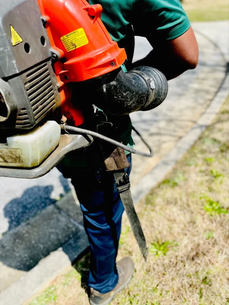 Top-rated yard cleanup service in Fairburn, GA by Yard Barbers