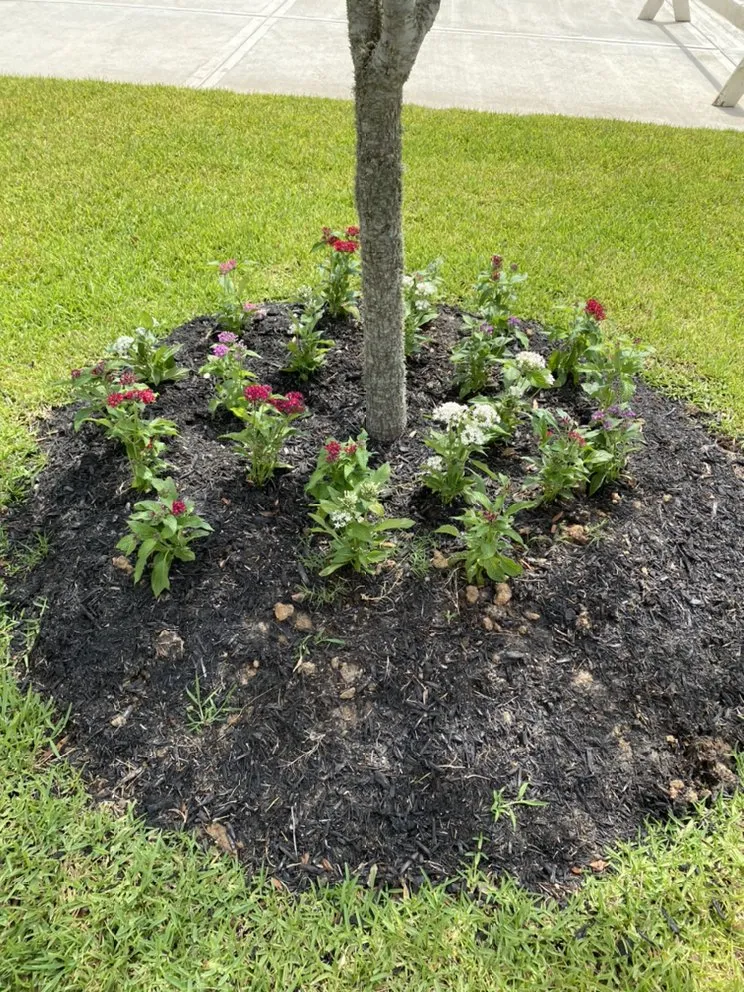 Professional lawn care service in Houston, TX by Yard Barbers Landscaping