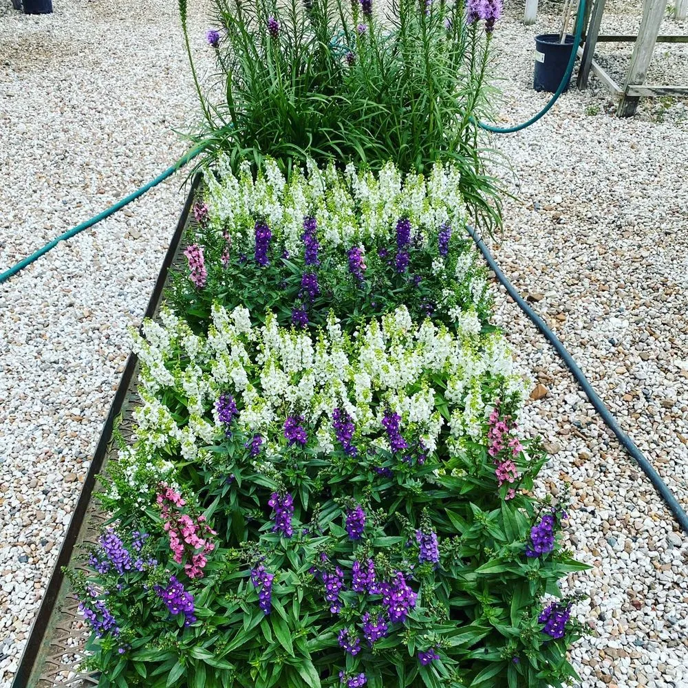 Local yard cleanup service in Houston, TX - Yard Barbers Landscaping