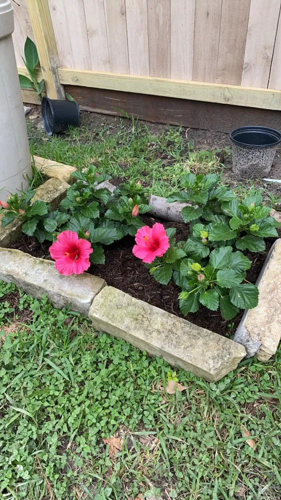 Local residential landscaping in Houston, TX - Yard Barbers Landscaping