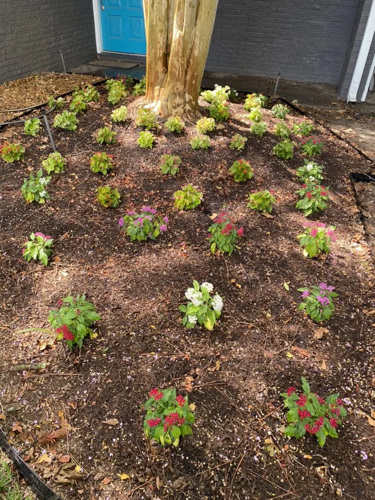 Trusted lawn mowing service experts serving Houston, TX - Yard Barbers Landscaping