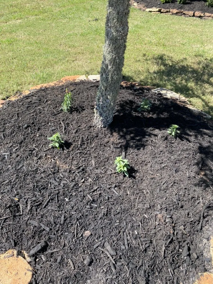 Affordable yard maintenance for homes across Houston, TX - Yard Barbers Landscaping