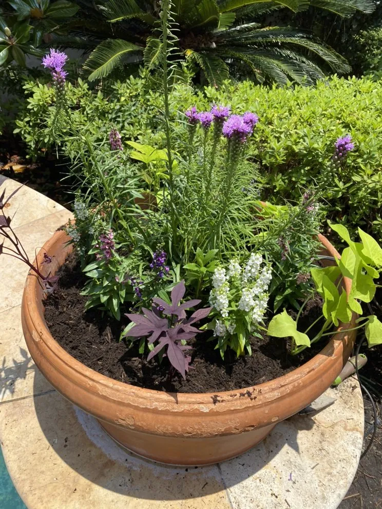 Expert outdoor landscaping experts serving Houston, TX - Yard Barbers Landscaping