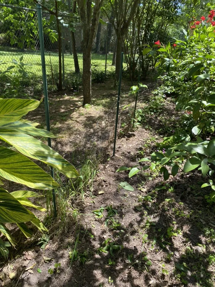 Professional residential landscaping for year-round maintenance in Houston, TX by Yard Barbers Landscaping