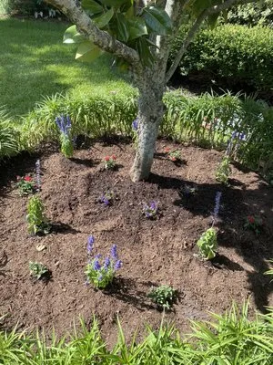 Yard Barbers Landscaping Logo