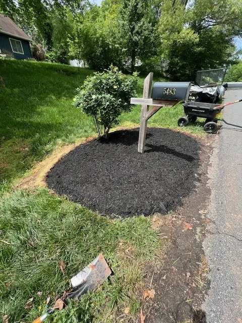 Professional lawn care service in Maiden, NC - Yard Barbers Lawn Care