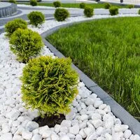 Reliable lawn mowing service experts serving Eustis, FL - Yard Bees